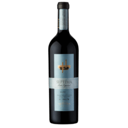 Séptima lote especial Malbec