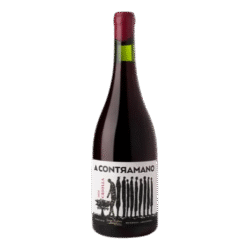 Jorge rubio a contramano ancellota